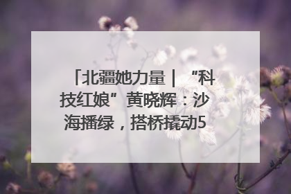 北疆她力量｜“科技红娘”黄晓辉：沙海播绿，搭桥撬动5.3亿研发