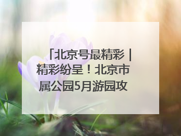 北京号最精彩｜精彩纷呈！北京市属公园5月游园攻略来啦→