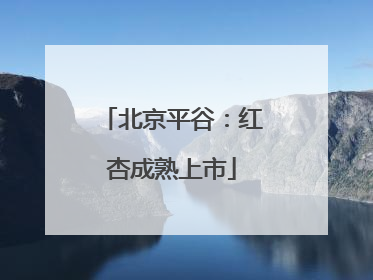 北京平谷：红杏成熟上市