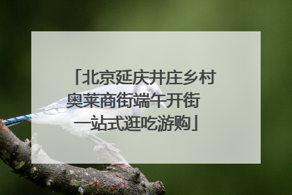 北京延庆井庄乡村奥莱商街端午开街 一站式逛吃游购