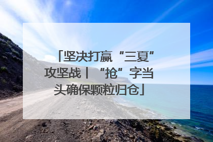 坚决打赢“三夏”攻坚战丨“抢”字当头确保颗粒归仓