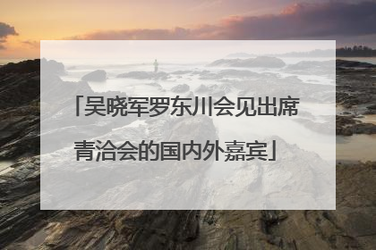 吴晓军罗东川会见出席青洽会的国内外嘉宾