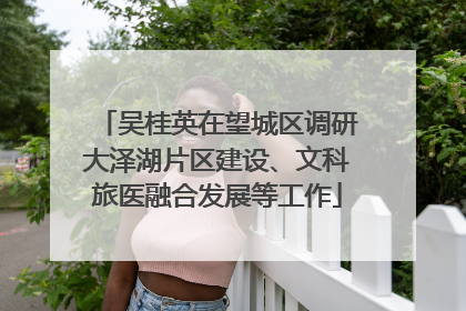 吴桂英在望城区调研大泽湖片区建设、文科旅医融合发展等工作