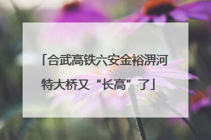 合武高铁六安金裕淠河特大桥又“长高”了