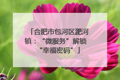 合肥市包河区淝河镇：“微服务”解锁“幸福密码”