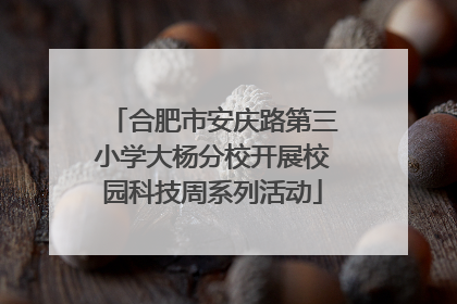 合肥市安庆路第三小学大杨分校开展校园科技周系列活动