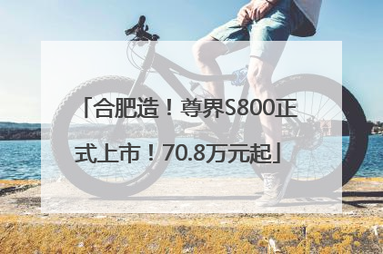 合肥造！尊界S800正式上市！70.8万元起