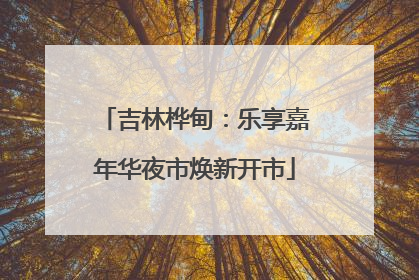 吉林桦甸：乐享嘉年华夜市焕新开市