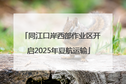 同江口岸西部作业区开启2025年夏航运输