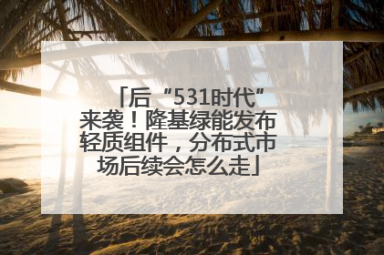 后“531时代”来袭！隆基绿能发布轻质组件，分布式市场后续会怎么走