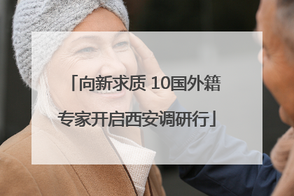 向新求质 10国外籍专家开启西安调研行