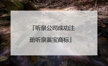 听泉公司成功注册听泉鉴宝商标