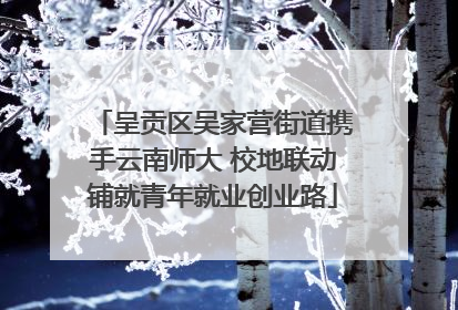 呈贡区吴家营街道携手云南师大 校地联动铺就青年就业创业路