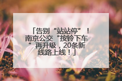 告别“站站停”！南京公交“按铃下车”再升级，20条新线路上线！