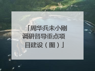 周华兵未小刚调研督导重点项目建设（图）