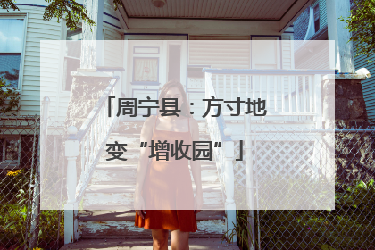 周宁县：方寸地变“增收园”
