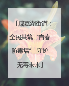 咸嘉湖街道：全民共筑“青春防毒墙” 守护无毒未来