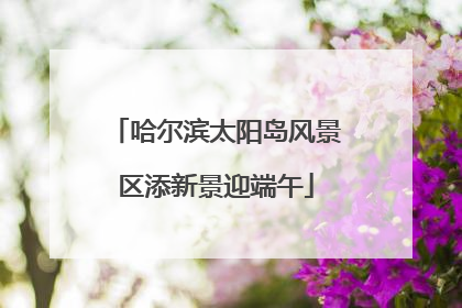 哈尔滨太阳岛风景区添新景迎端午