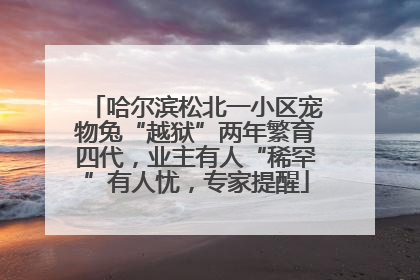 哈尔滨松北一小区宠物兔“越狱”两年繁育四代，业主有人“稀罕”有人忧，专家提醒