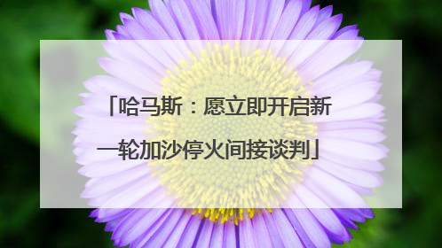 哈马斯：愿立即开启新一轮加沙停火间接谈判