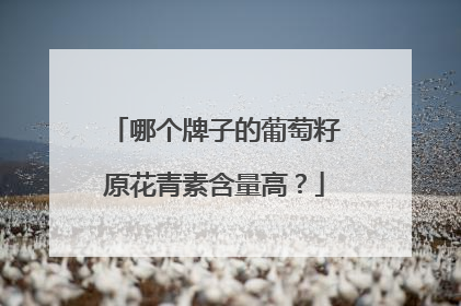 哪个牌子的葡萄籽原花青素含量高？