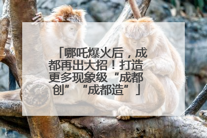 哪吒爆火后，成都再出大招！打造更多现象级“成都创”“成都造”