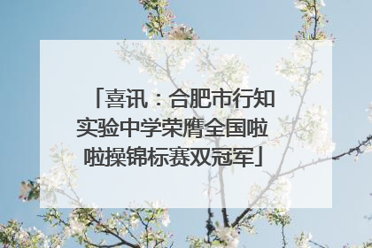 喜讯：合肥市行知实验中学荣膺全国啦啦操锦标赛双冠军
