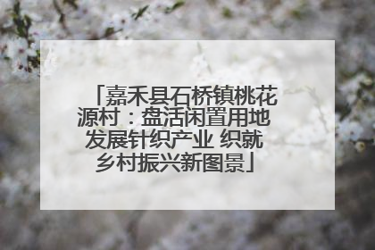 嘉禾县石桥镇桃花源村：盘活闲置用地发展针织产业 织就乡村振兴新图景