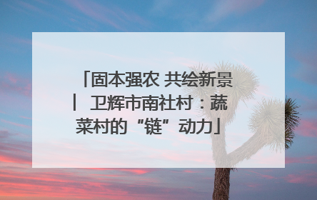 固本强农 共绘新景 ︳卫辉市南社村：蔬菜村的“链”动力