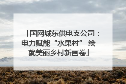 国网城东供电支公司：电力赋能“水果村” 绘就美丽乡村新画卷