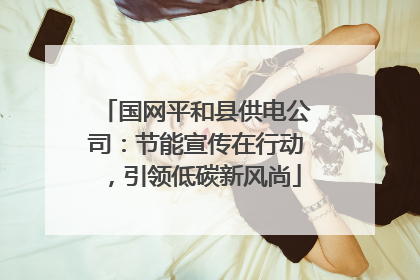 国网平和县供电公司：节能宣传在行动，引领低碳新风尚