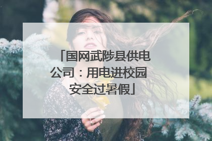 国网武陟县供电公司：用电进校园  安全过暑假
