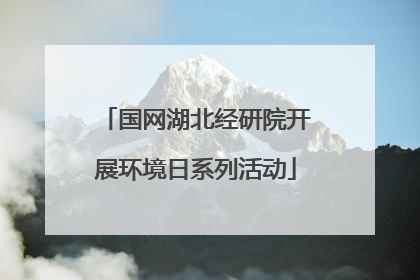 国网湖北经研院开展环境日系列活动