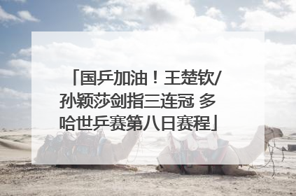 国乒加油！王楚钦/孙颖莎剑指三连冠 多哈世乒赛第八日赛程