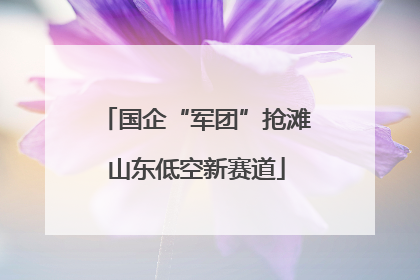国企“军团”抢滩山东低空新赛道