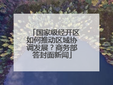 国家级经开区如何推动区域协调发展？商务部答封面新闻