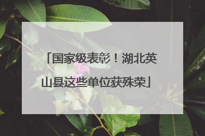 国家级表彰！湖北英山县这些单位获殊荣