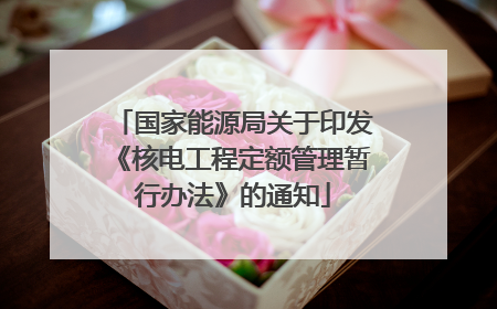 国家能源局关于印发《核电工程定额管理暂行办法》的通知