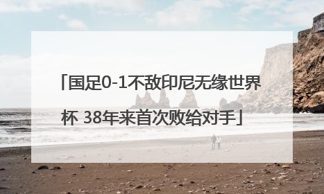 国足0-1不敌印尼无缘世界杯 38年来首次败给对手
