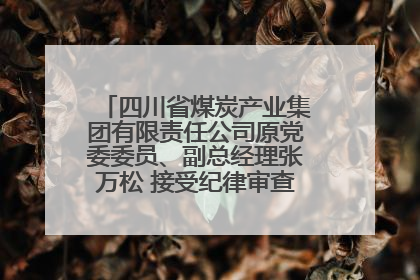 四川省煤炭产业集团有限责任公司原党委委员、副总经理张万松 接受纪律审查和监察调查