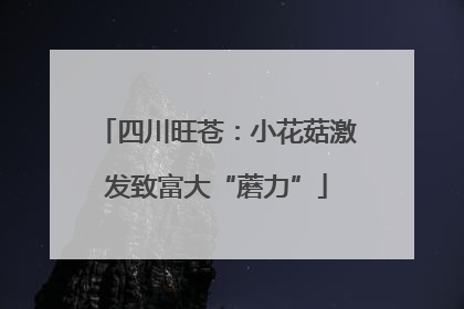 四川旺苍：小花菇激发致富大“蘑力”