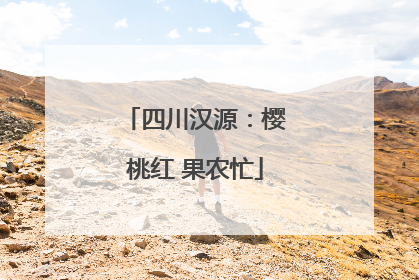 四川汉源：樱桃红 果农忙