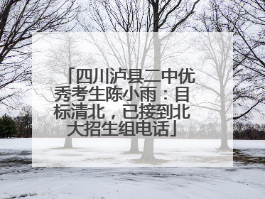 四川泸县二中优秀考生陈小雨：目标清北，已接到北大招生组电话