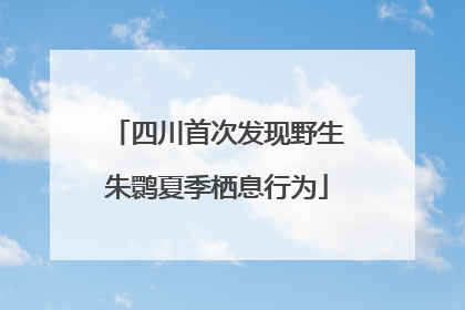 四川首次发现野生朱鹮夏季栖息行为
