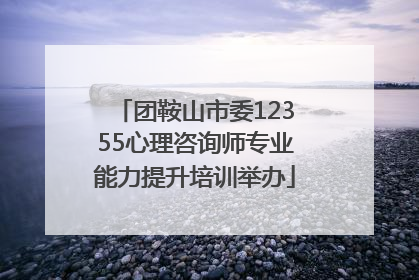 团鞍山市委12355心理咨询师专业能力提升培训举办