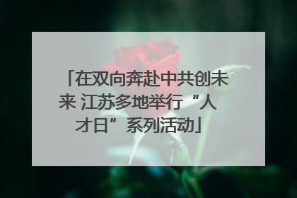 在双向奔赴中共创未来 江苏多地举行“人才日”系列活动