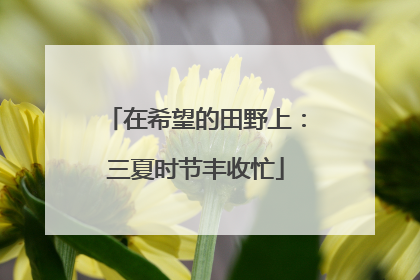 在希望的田野上：三夏时节丰收忙