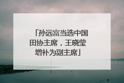 孙远富当选中国田协主席，王晓莹增补为副主席
