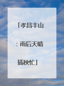 孝昌丰山：雨后天晴插秧忙