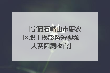 宁夏石嘴山市惠农区职工摄影暨短视频大赛圆满收官